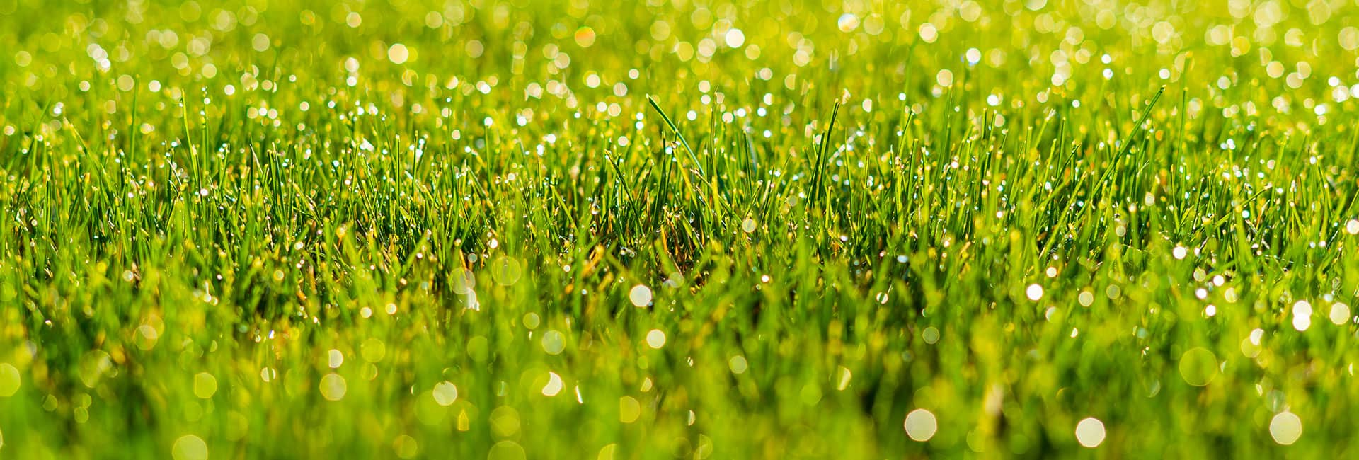 Refined Outdoors LLC Background Texture Image