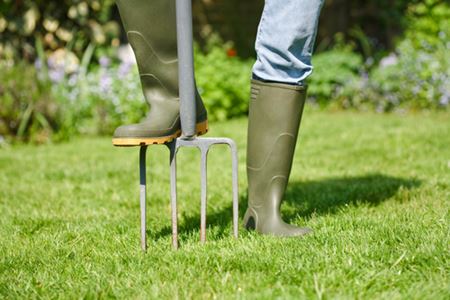 Aeration & Overseeding for Thicker, Greener Lawns Image