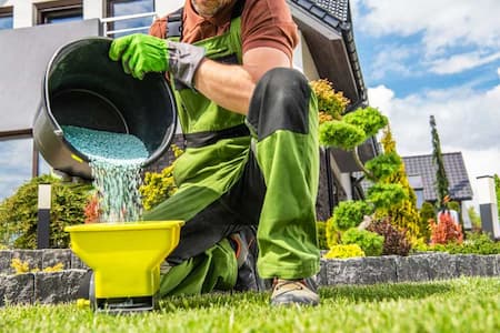 Lawn Fertilization: Timing Matters Image