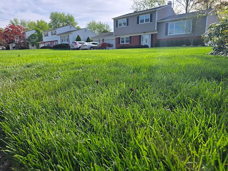 Lawn care services in Ewing, NJ Image