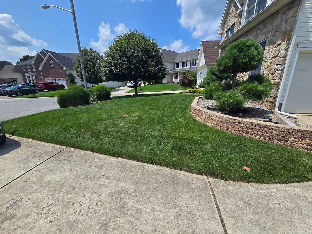 Premium Lawn care in Columbus, NJ Image