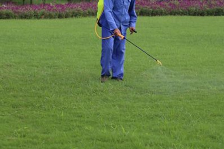Outdoor Pest Control