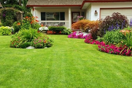 Lawn Care