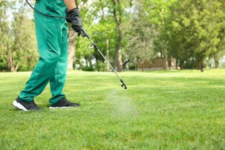 Perimeter Pest Treatments