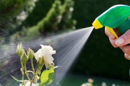 Plant Health Care