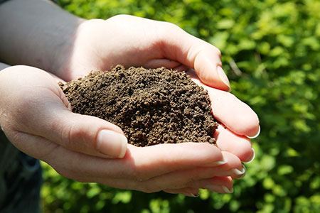 Lawn Care Image